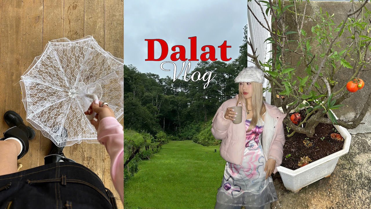 Đà Lạt Vlog 🌨️ Chuyến đi 3N2Đ tại Dalat ăn ngon chụp hình đẹp ở đâu🍢