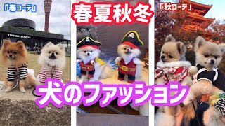 【ファッション】春夏秋冬の犬コーデ