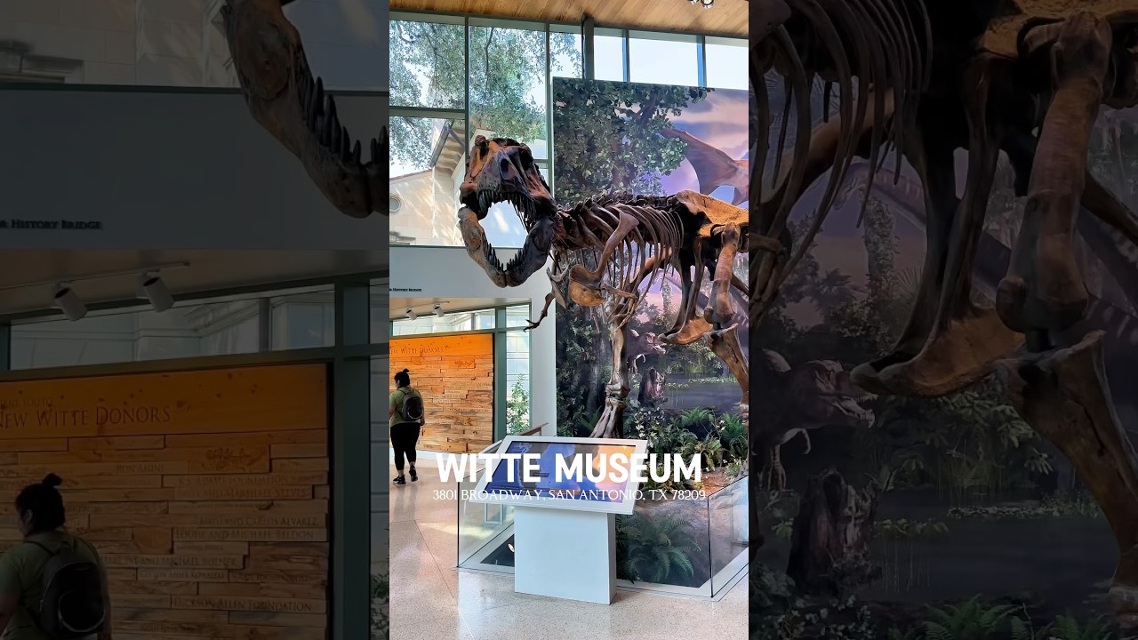 Witte Museum- San Antonio, TX 🦖 
