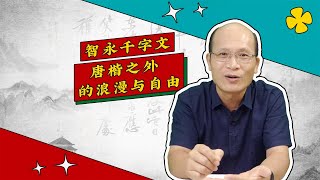 《智永千字文》：临写范本，墨迹最佳（书法审美小百科 第17弹）