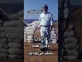 نادر خلیلی در ایران متنفر بودن را آموزش می دهند نادر خلیلی در ایران متنفر بودن را آموزش می دهند