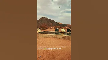 قلت يا رسول الله ان امي ماتت 