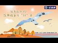 LIVE: Migratory Birds Find Winter Refuge in China's Warmer Climes
