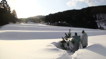 日本酒を造る人々を追ったドキュメンタリー！映画『一献の系譜』予告編