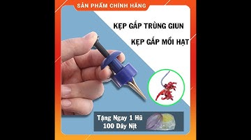 Dụng Cụ Kẹp Giun Đất Câu Cá, Kẹp Mồi Hạt, Mồi Viên, Câu Cá Chép