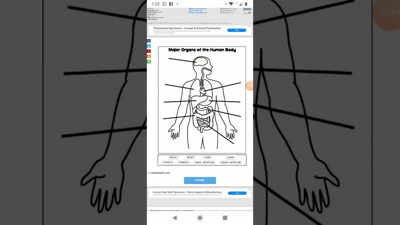 INTERACTIVE WORKSHEET