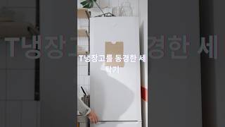 【감동적인 쇼트 스토리】냉장고를 동경한 세탁기|어느 가전제품들의 따뜻한 이야기