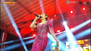 ORANG YANG SALAH - JIHAN AUDY - LIVE OM ADELLA