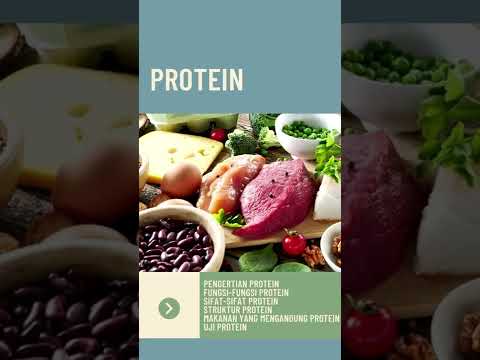Yuk Cari Tahu tentang Protein!