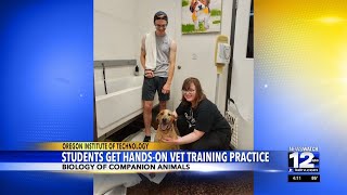 OIT students get hands-on vet training practice