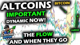 Bitcoin and Altcoins: DIVERGENCE to EXPLOSION, How this Bitcoin Price Dynamic Lead to Altcoin Surges