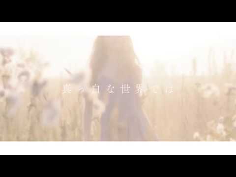 広告代理店 三和美研 WEB'17