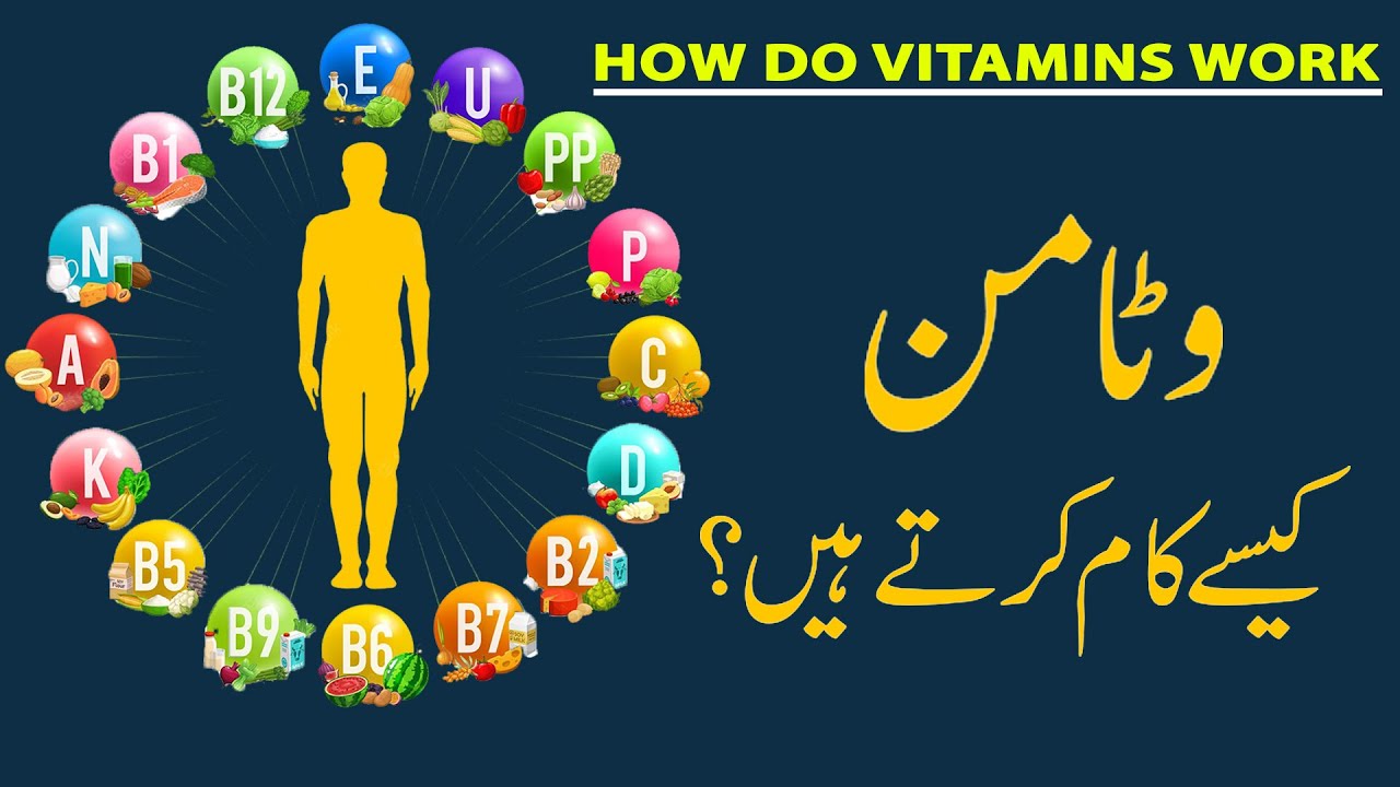 Introduction to vitamins and minerals | Biology foundations | How Do Vitamins Work | Newsklic
