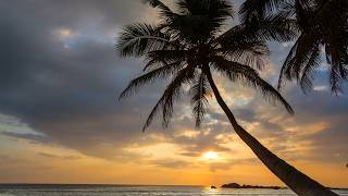 Bossa Nova With Crashing Wave Sounds - The Perfect Melody To Start Your Day.