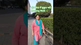 ग्रीन बेल्ट में सुकून भरी Morning Walk 🌿🚶♂️@saritakishore1#morningwalk #viral #shorts #trend