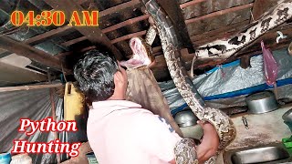 big indian rock python snake in house। python snake ki video। ajgar saamp