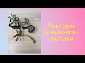 Пересадка суккулентов с "Cactus Fest" // Replantin Succulent Plants // Отрубание головы цветку 😱