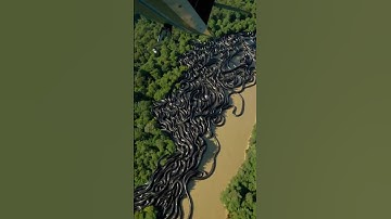 🚨 Leaked Military Drone Footage Reveals GIANT Anaconda in the Amazon Jungle!