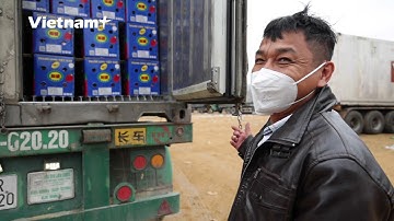 Kẹt lâu tại cửa khẩu, hàng nghìn xe nông sản quay đầu bán tháo