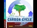Understanding the Carbon Cycle