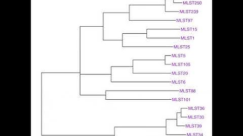 Inferring a tree online using sequential Monte Carlo