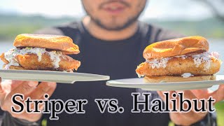 McDonald's Filet-o-Fish with REAL FISH | Striped Bass Vs. Halibut