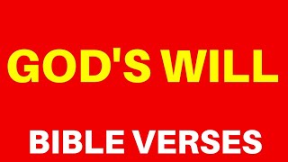 10 Bible Verses About Gods Will  Get Encouraged
