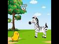 zebra discovers the foal video walkthrough