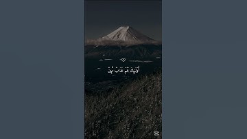 تلاوة خاشعة جميلة بصوت ماهر المعيقلي - ارح قلبك وسمعك ❤️‍🩹😴 #ماهر_المعيقلي #القرآن_الكريم #قرآن
