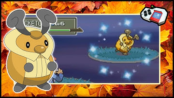 [LIVE] Shiny Kricketot on Platinum after 40 Radar Chain!