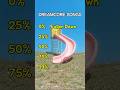Dreamcore/Weirdcore Songs Ranked