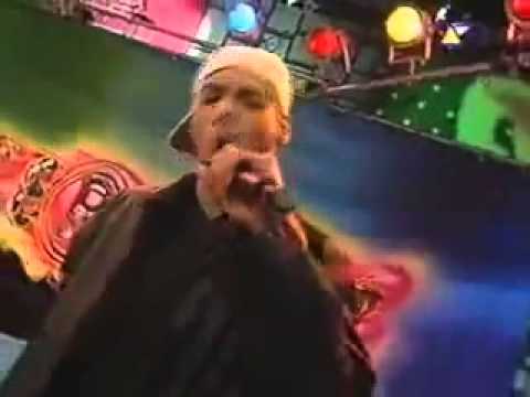 Highland Bella Stella Live