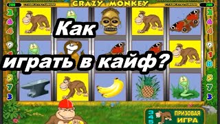 Казино Вулкан - КАК играть ПРАВИЛЬНО! Выигрыш 500 000 в Crazy Monkey (Обезьянки) в онлайн казино! screenshot 2