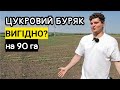 Навіщо соняшник? Цукровий буряк на 90 га🤔 Сіяли кукурудзу Kuhn Planter в болото після рихлення