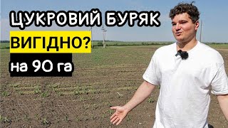 Навіщо соняшник? Цукровий буряк на 90 га🤔 Сіяли кукурудзу Kuhn Planter в болото після рихлення