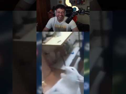 ميمز المتابعين: كذب الحقيقة هههههههههههه - ميمز المتابعين: كذب الحقيقة هههههههههههه