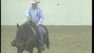 Training Tips: Neck Reining and Pivoting, part 1, eXtension