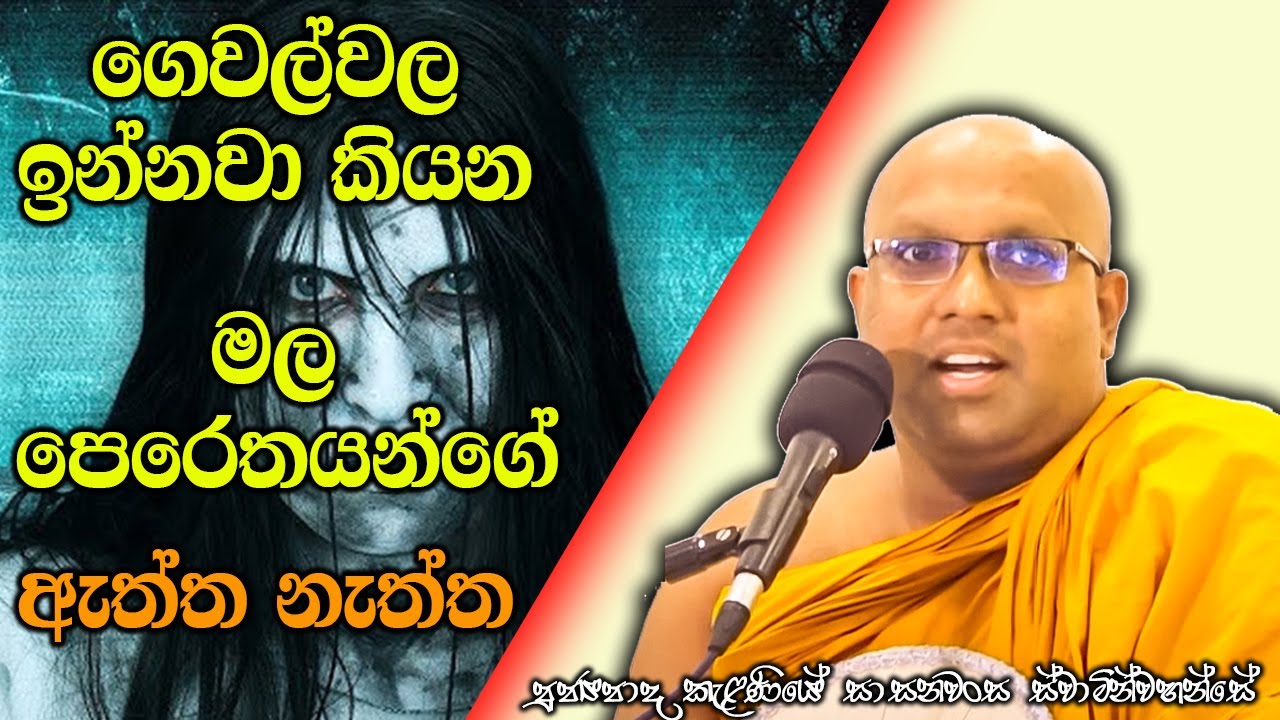 ගෙවල්වල ඉන්නවා කියන මල පෙරෙතයන්ගේ ඇත්ත නැත්ත | Kelaniye Sasanawansa Thero | Mindful Wisdom #Bana