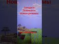 mc.nikosmp.ru#майнкрафт #промайнкрафт #minecraft #рек #реки #рекомендации #rec