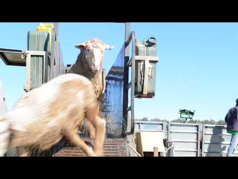 Mobile Jetting Machine - Barclay Livestock Management