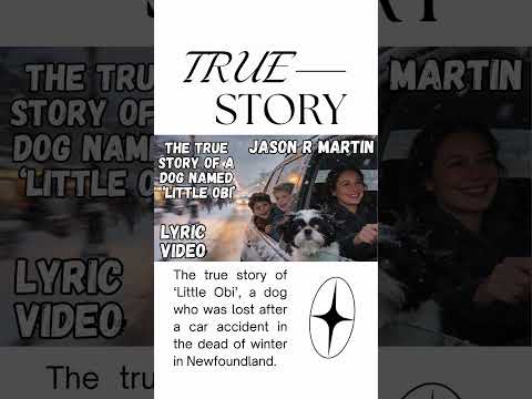 Tiny Dog Survives 5 Days in Blizzard ❄️🐶 TRUE STORY #shorts