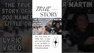 Tiny Dog Survives 5 Days in Blizzard ❄️🐶 TRUE STORY #shorts