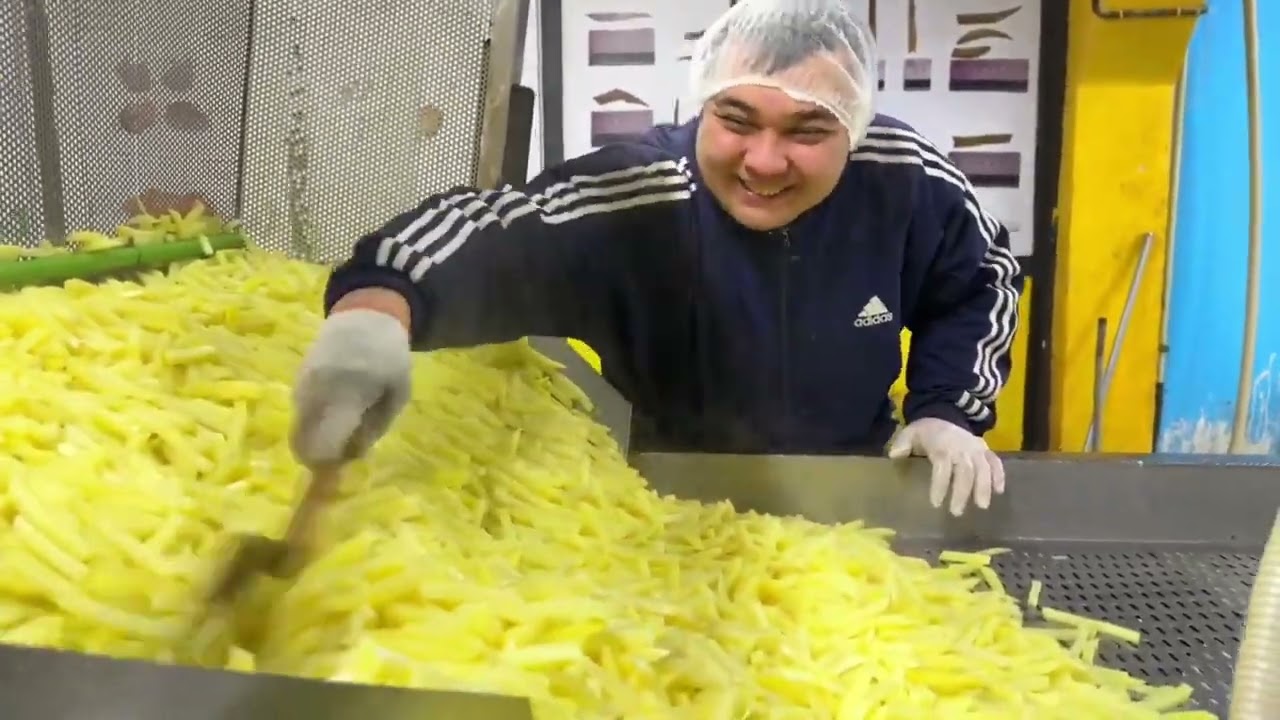 Как готовят картофель фри. Обзор производства картофеля фри
