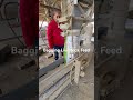 Bagging Livestock Feed at the Farm | Corn, Rice Bran, Soybean Meal &amp; Molasses