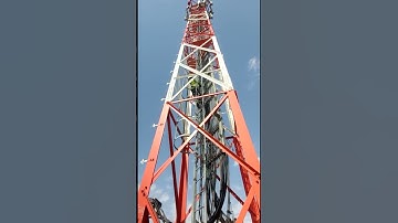 Another view of rigger climbing #shorts #pktelecommunications