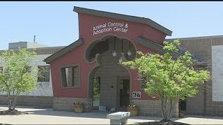 Springfield animal shelter to benefit from June fundraiser