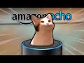 Amazon Echo (POP CAT EDITION)