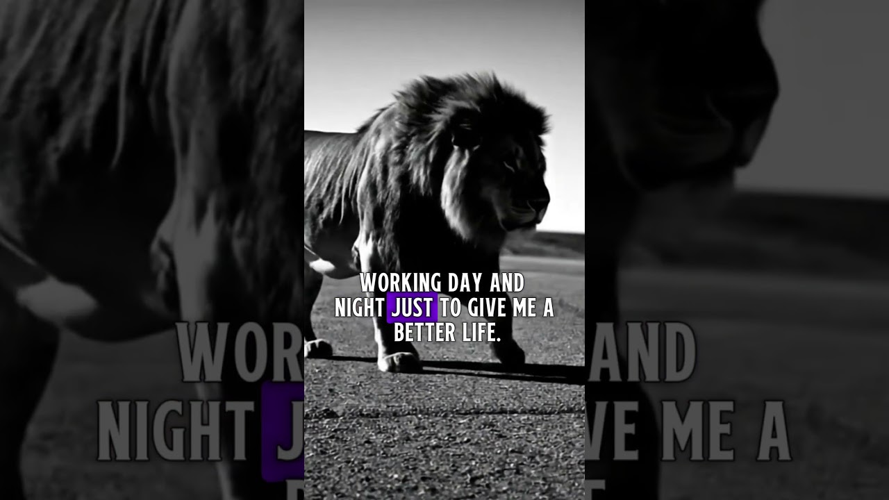 Motivation speech new 2025 