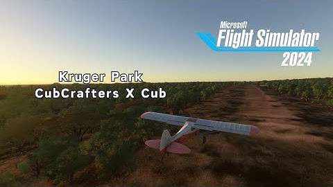 Kruger Park Precision Landing - Microsoft Flight Simulator 2024