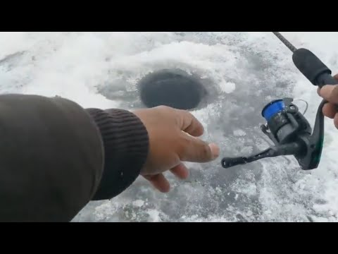 Video: Cómo Pescar Con Hielo: Todo Lo Que Necesita Saber Antes De Ir